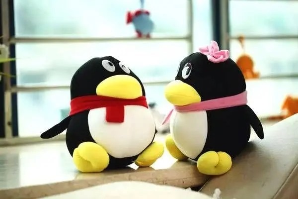 起点养号什么意思？